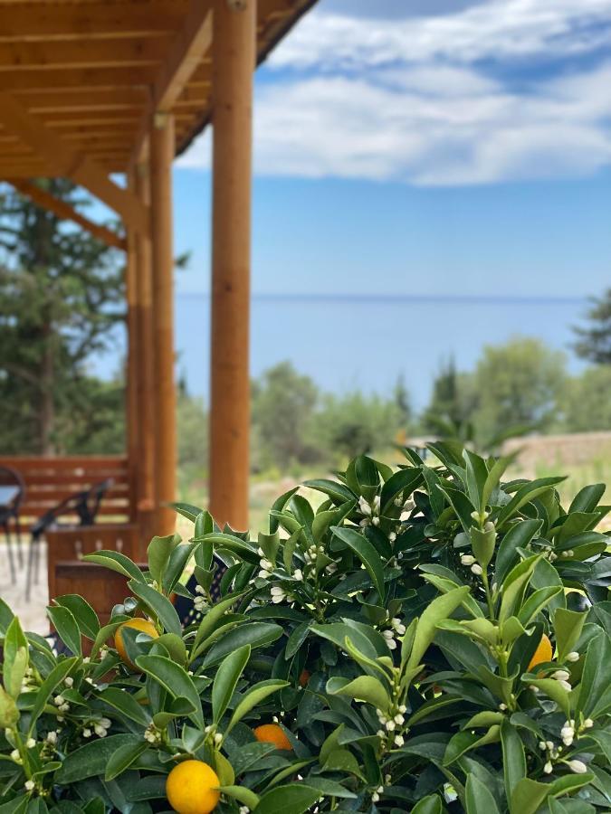 Summer Wine Boutique Hotel Dhërmi Esterno foto